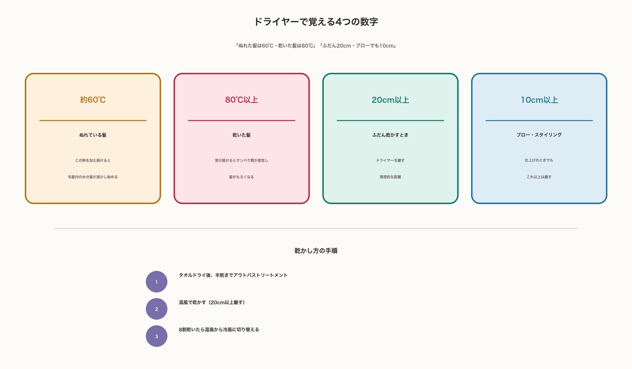 ドライヤーで覚える4つの数字。ぬれた髪は約60℃で水分減少、乾いた髪は80℃以上でタンパク質変性、ふだんは20cm以上、ブローでも10cm以上離す