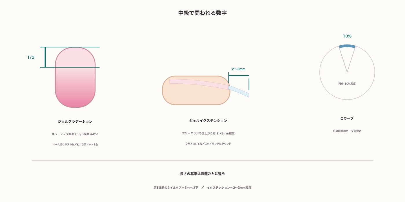 中級で問われる数字。ジェルグラデーションはキューティクル側を3分の1程度あける、ジェルイクステンションはフリーエッジ2〜3mm程度でCカーブは円の10%程度