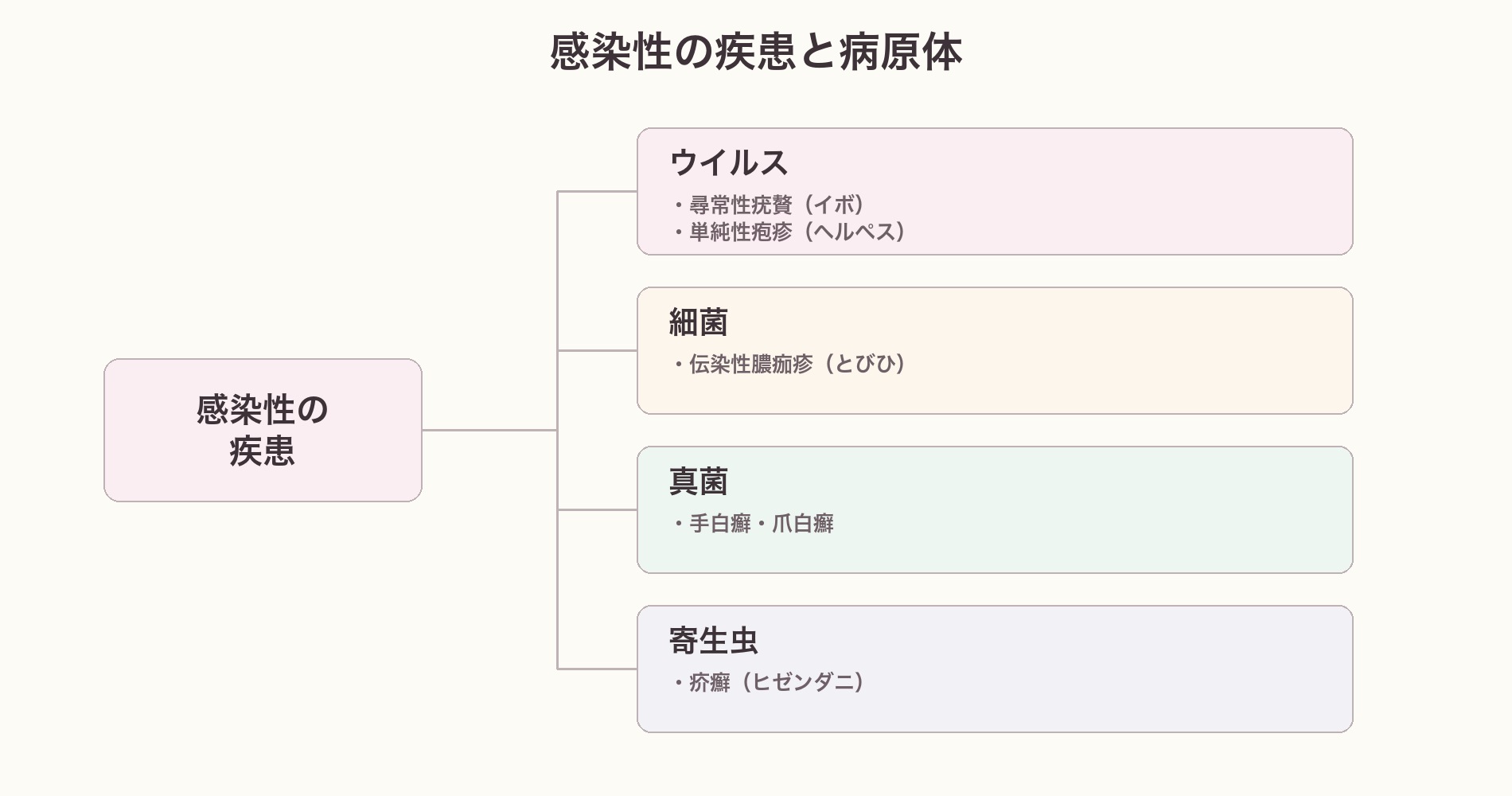 感染性の疾患と病原体の分類図。ウイルス（イボ・ヘルペス）、細菌（とびひ）、真菌（白癬）、寄生虫（疥癬）