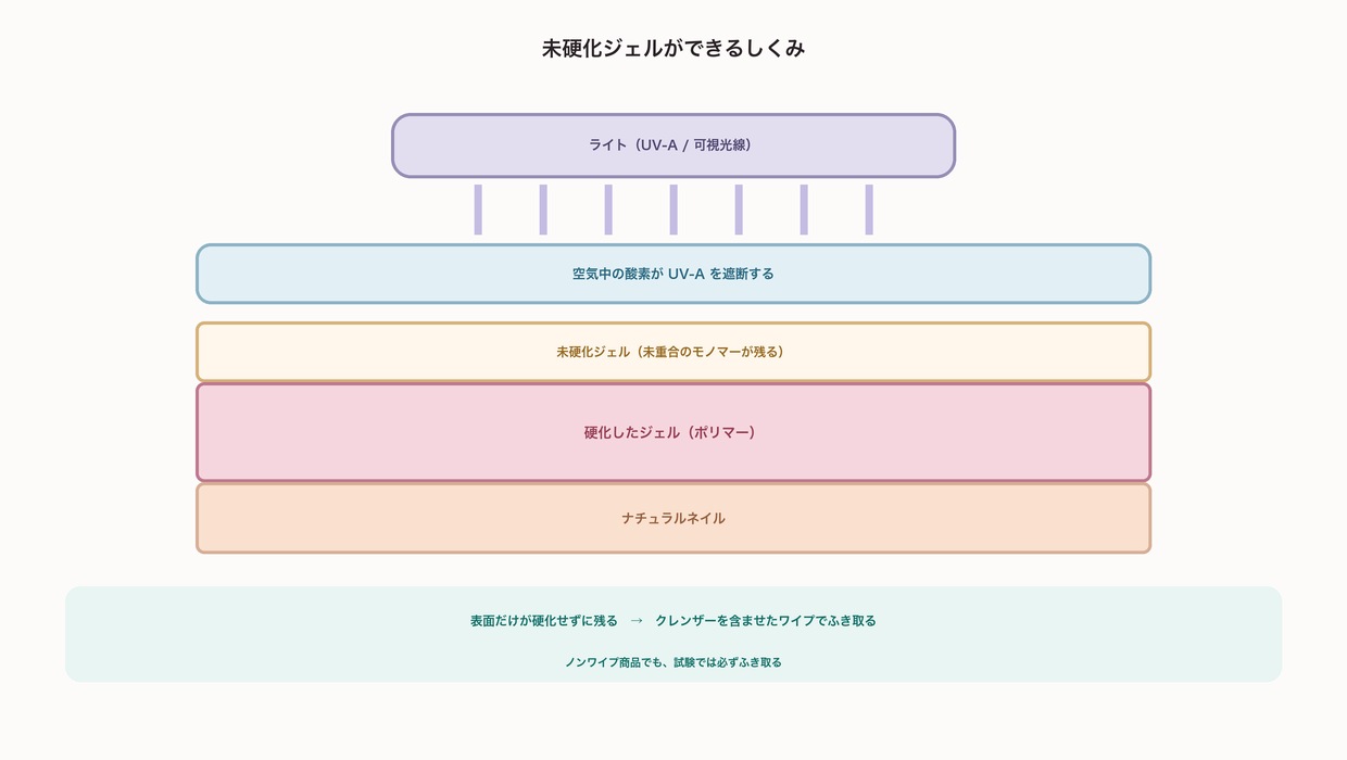 未硬化ジェルができるしくみの断面図。ライトから照射された光が空気中の酸素に遮断され、ジェルの表面に未重合のモノマーが未硬化ジェルとして残り、その下は硬化したポリマーになっている